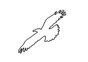 Zum Bild „Adler“ - Kindergottesdienst