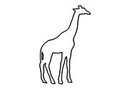 Zum Bild „Giraffe“ - Kindergottesdienst