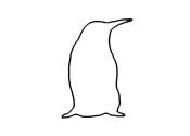 Zum Bild „Pinguin“ - Kindergottesdienst